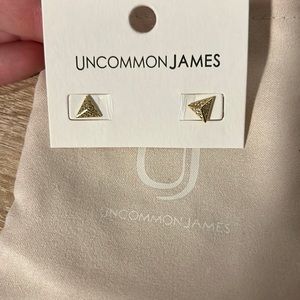 Uncommon James earrings